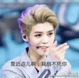 鹿晗亲吻表情包,萌动瞬间捕获粉丝心