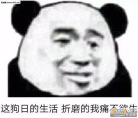 打破宁静表情包,表情包中的幽默与生活智慧