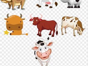 萌牛图片,治愈系动物图片背后的温馨故事